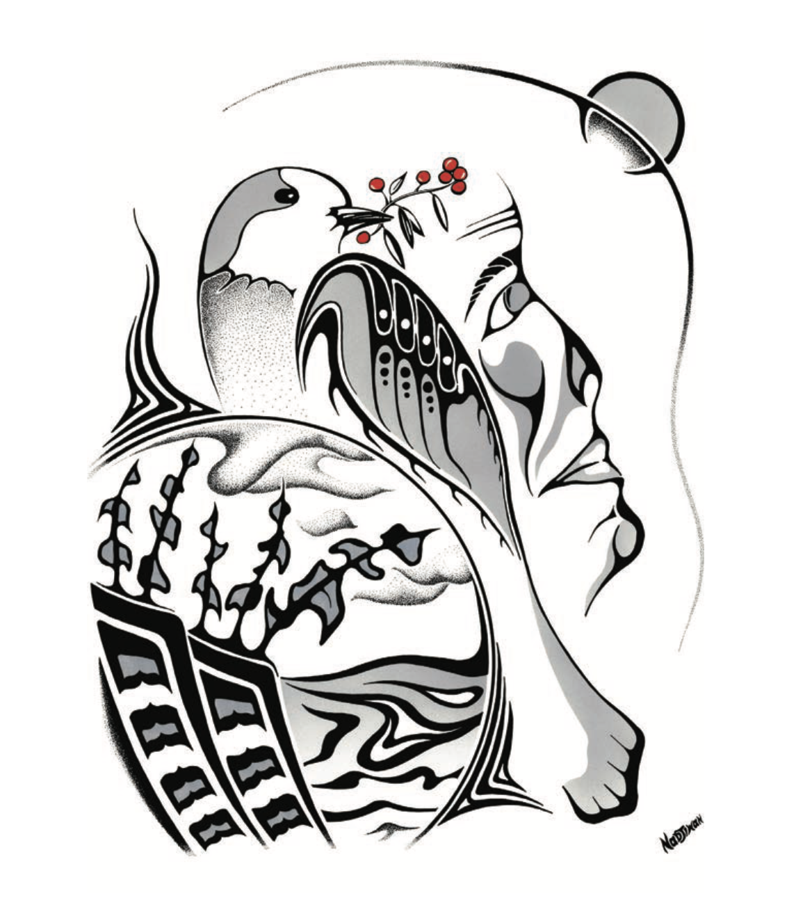 An Indigenous perspective on the Canada jay Canadian Geographic