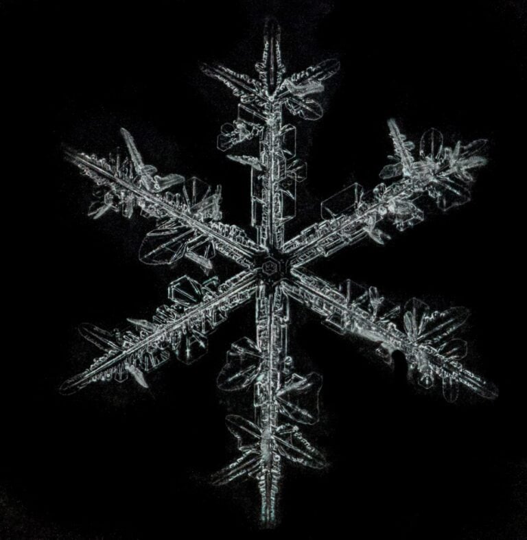 No two the same: how snowflakes form | Canadian Geographic