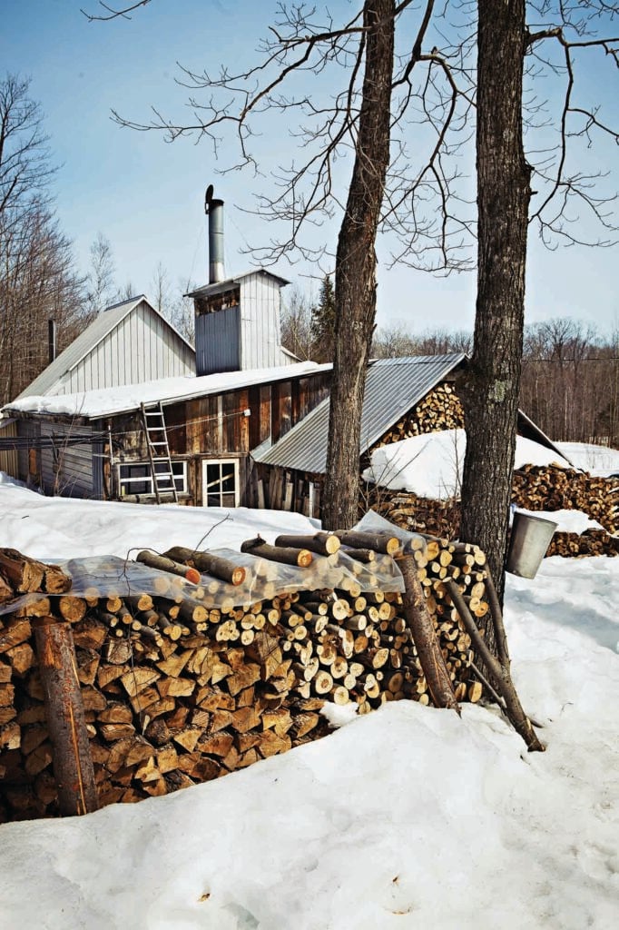 A sugar shack in the woods in the winter