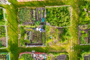 an aerial view of garden beds