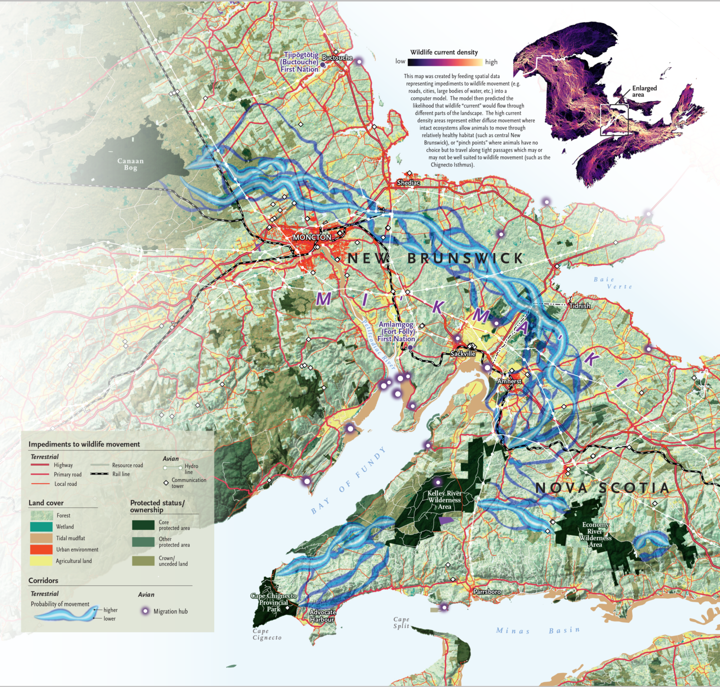 Inside the Chignecto Isthmus, the only path terrestrial animals can take between 2 provinces