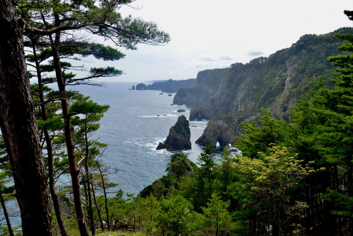 Steps towards tomorrow: a solo hike along Japan's Tōhoku Region
