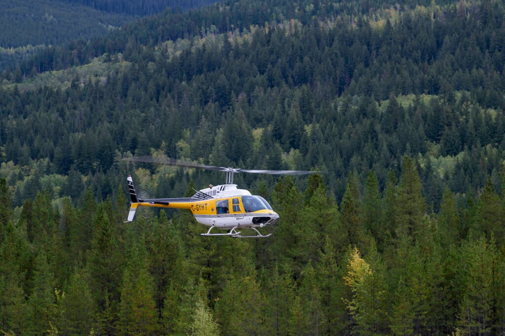 A helicopter flies over a forest