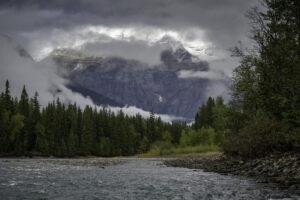 The Fraser River in front of the misty Rocky Mountains