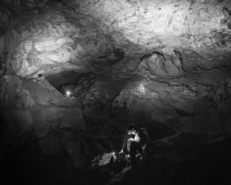Framing the wild: images of Canada’s globally vital ecosystems ...