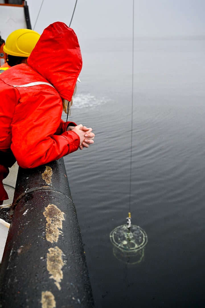 Photos: Inside the floating Indigenous Co-created Geo School that ...