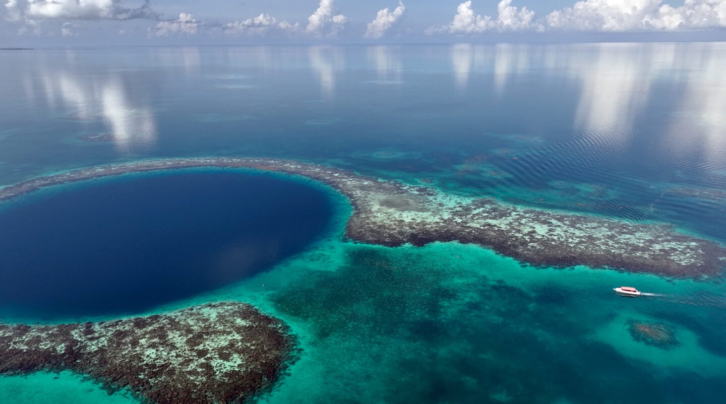 Is Belize's most famous dive worth it? | Canadian Geographic