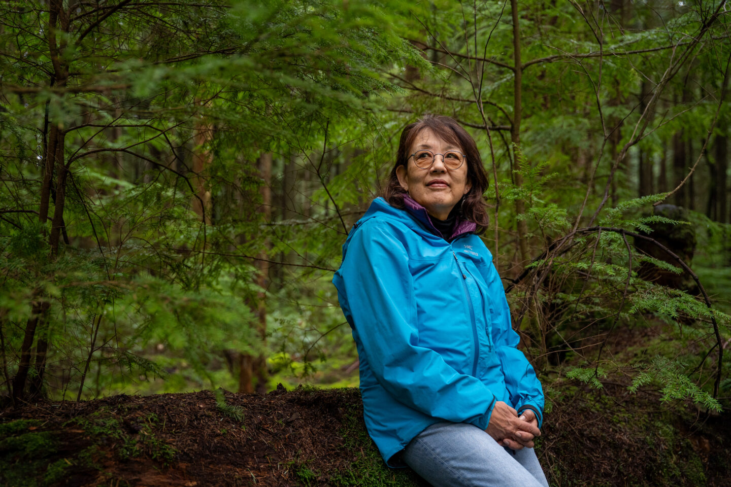 a japanese woman in a blue raincoat sits on a log with lush rainforest behind her
