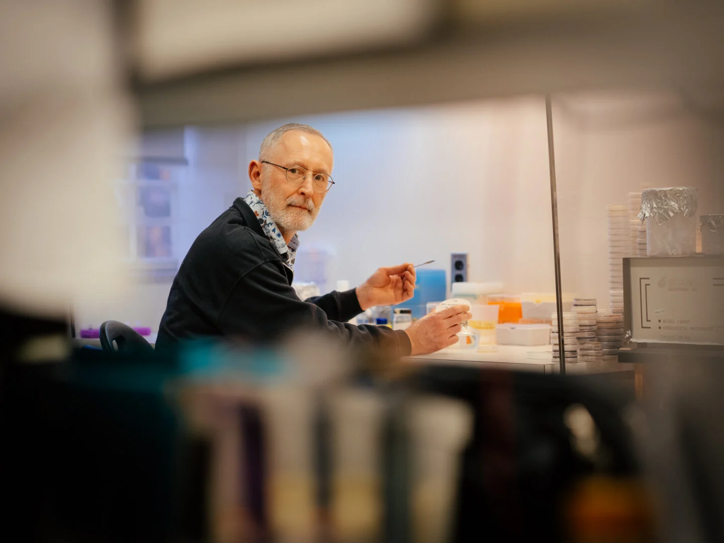 Scientists discovered the same fungus 40 years and an ocean apart