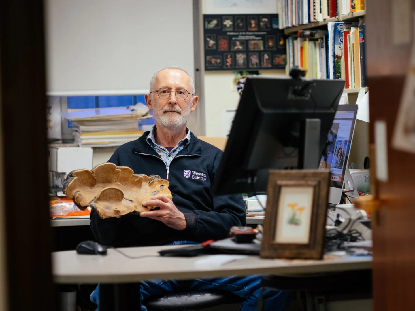 Scientists discovered the same fungus 40 years and an ocean apart