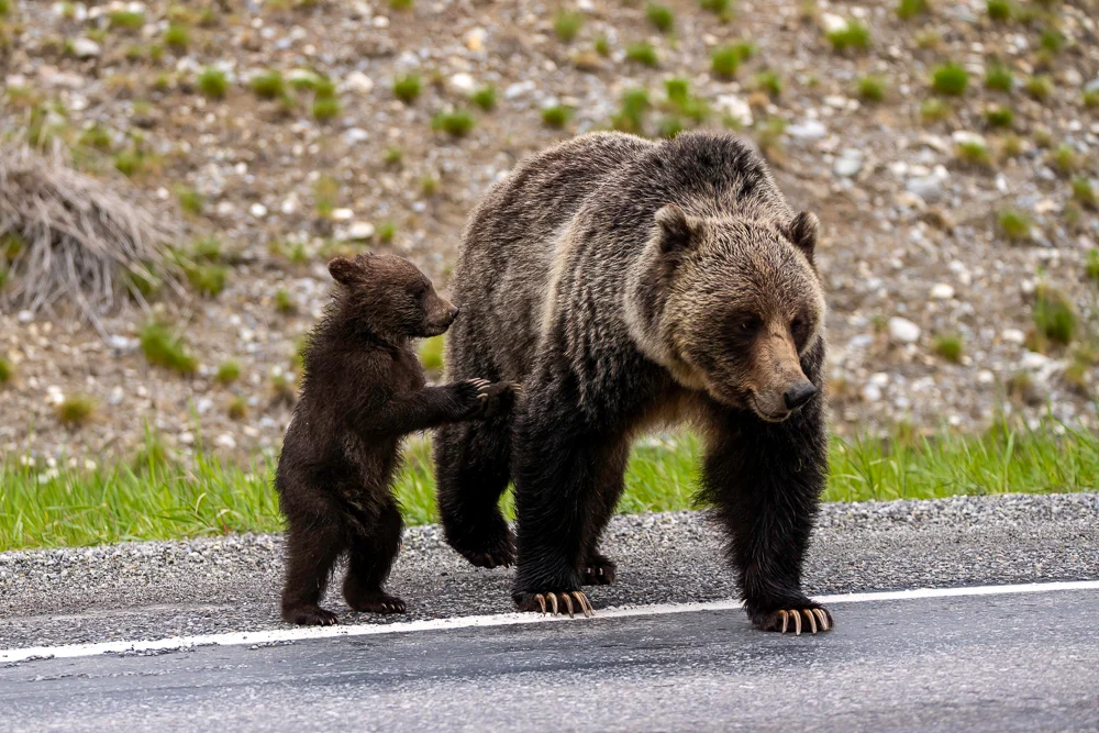 Canadian Geographic Adventures