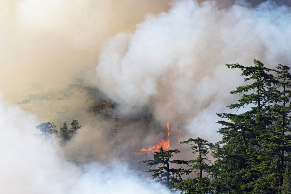 How to prepare for wildfire risk on your Canadian vacation