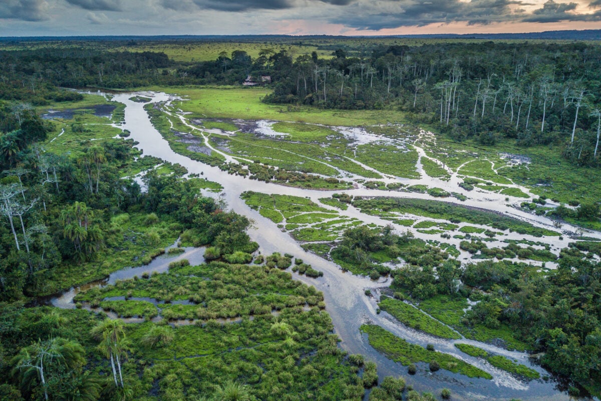 The good life: a walk in the park in Congo