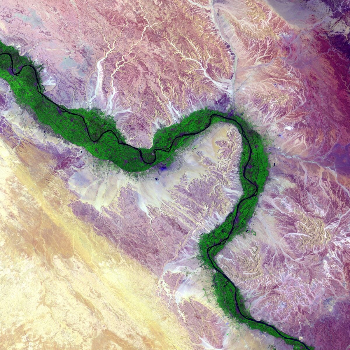 Tracing the Nile