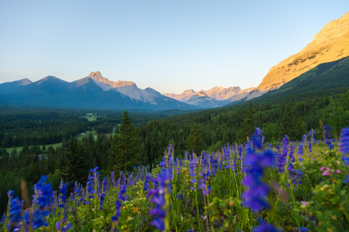 Falling in love with Kananaskis